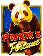 อยากเปิดเว็บพนัน ต้องสนใจก่อนลงทุน