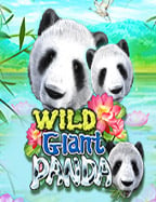 อยากโปรโมทเว็บพนันแอพได้เงินจริง เล่นง่ายได้เงินเร็ว!